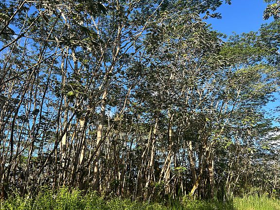 3rd image of Lehua Rd Lot 433