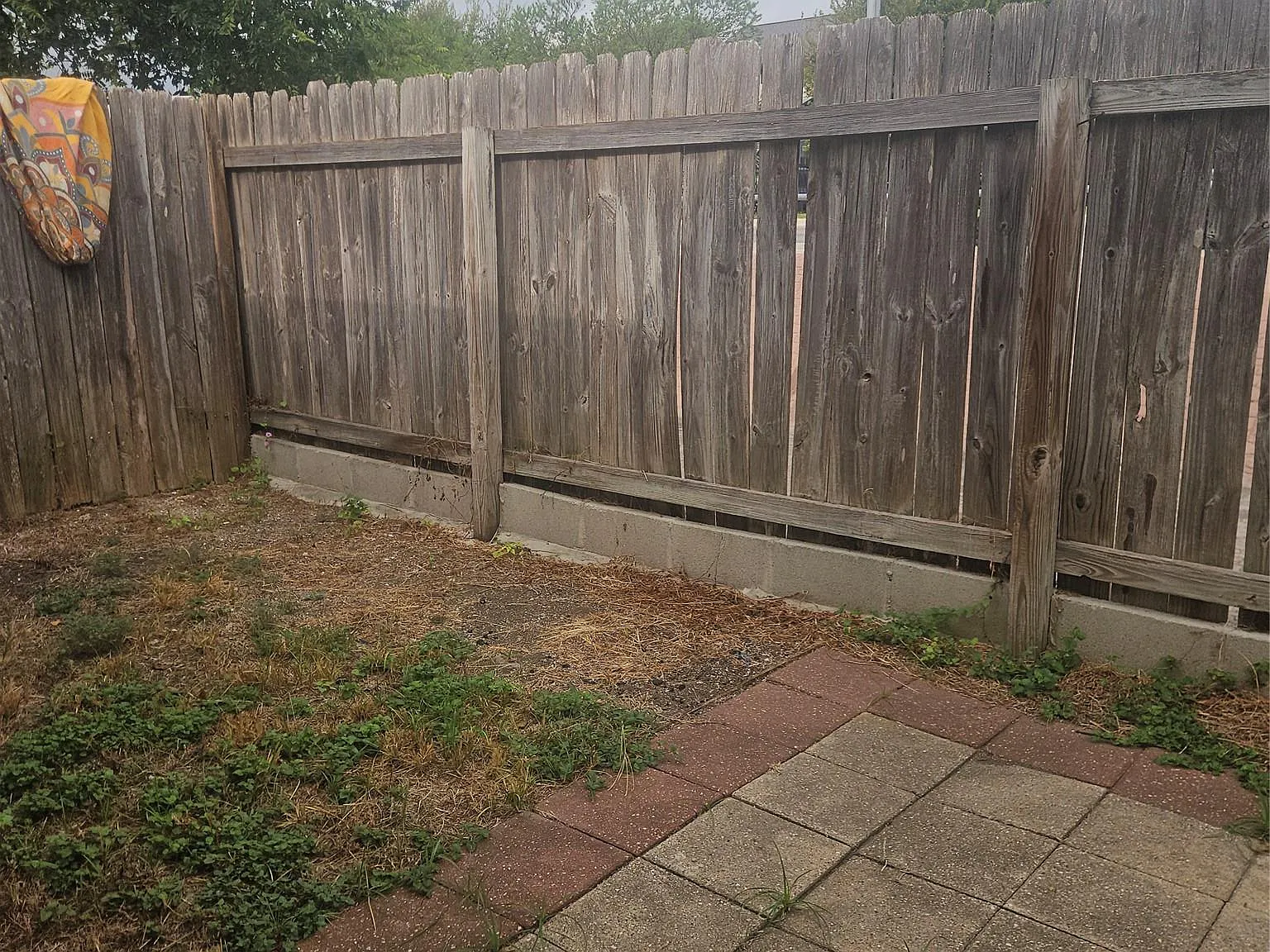 2 bed, 1.0 bath, 900 sqft, $1,250 — Photo 3
