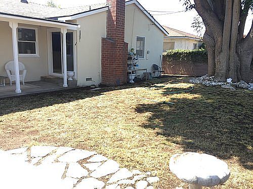 Large backyard