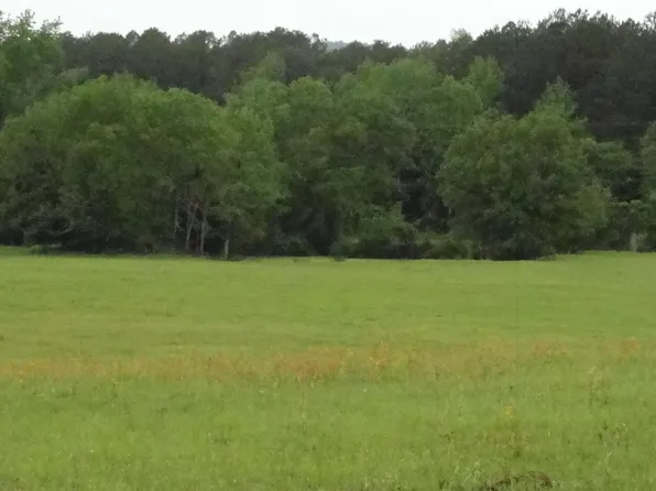 Fm 177/cr #3907, Jacksonville, TX 75766