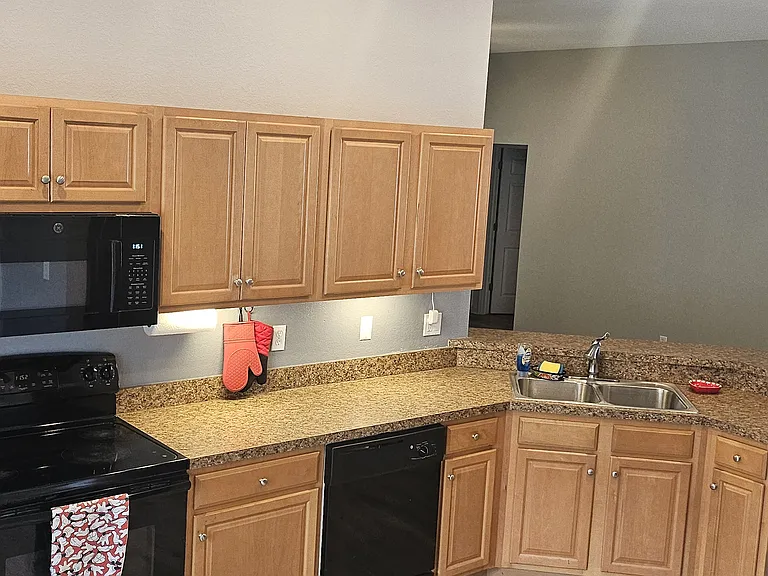 11110 Goldenrod Fern Dr — Photo 11