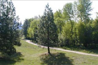 2nd image of 11537 Ninebark Way