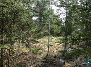 Xxx Savoy Rd, Ely, MN 55731