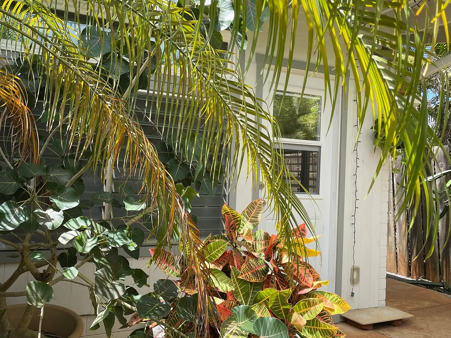 1 bed, 360 sqft, $3,000 — Photo 2