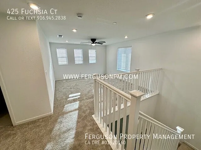 425 Fuchsia Ct — Photo 10