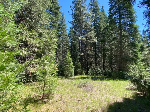 1-K-3 Timberline Ct, McCloud, CA 96057