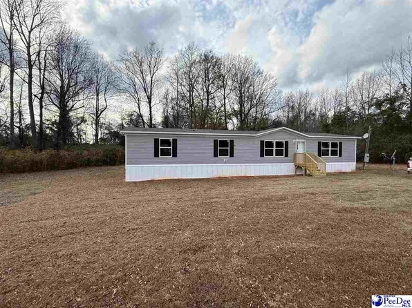 787 W Seven Mile Rd, Pamplico, SC 29583