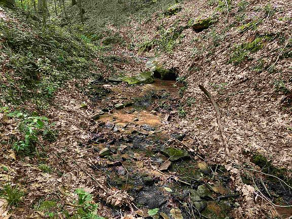 35th image of this home