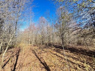 Township Road 2 Ac Harp Rd #10.143, Fayetteville, GA 30215