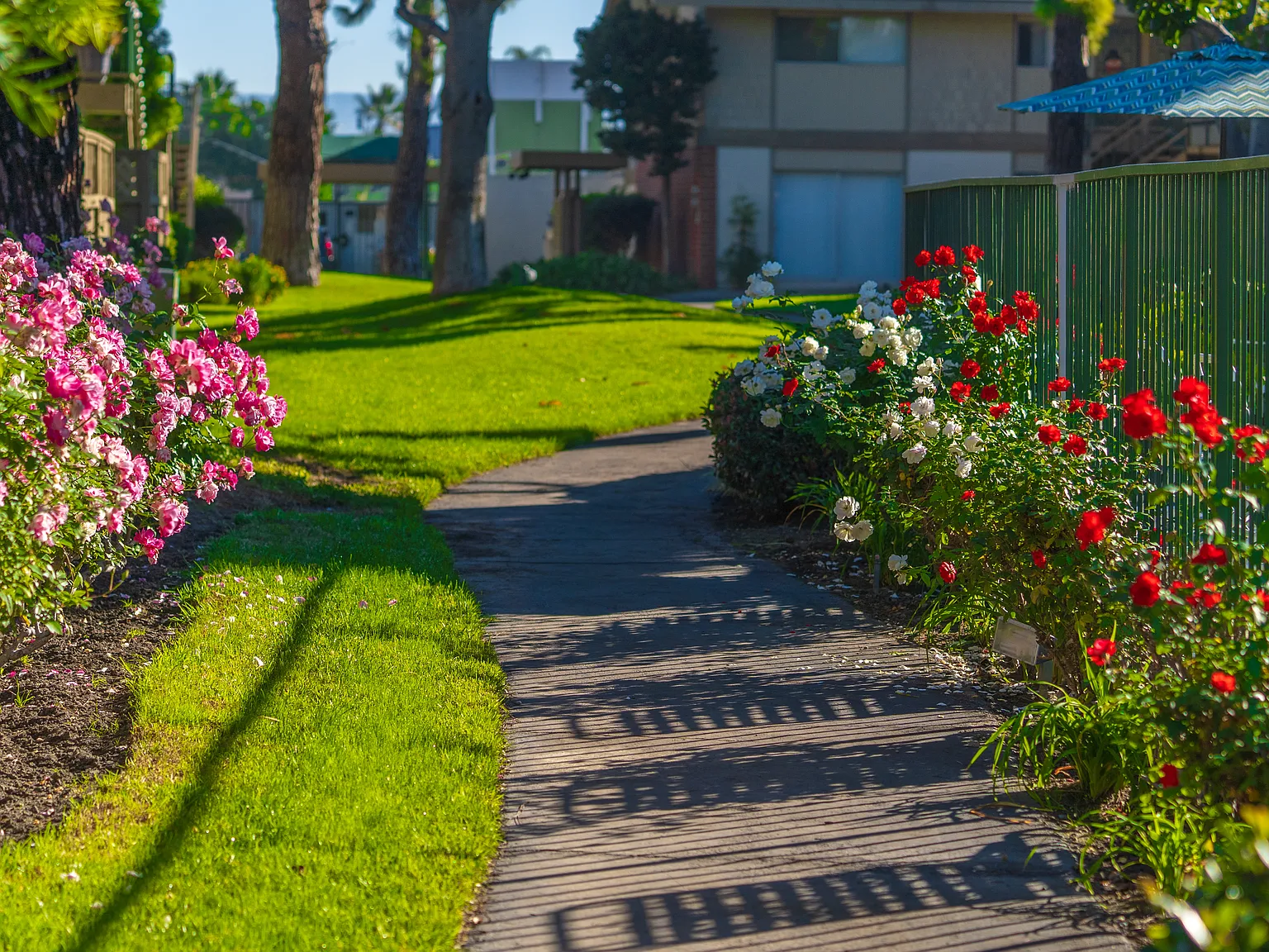 Garden View Apartments — Photo 3