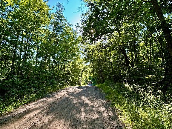 3rd image of Chippewa Trl