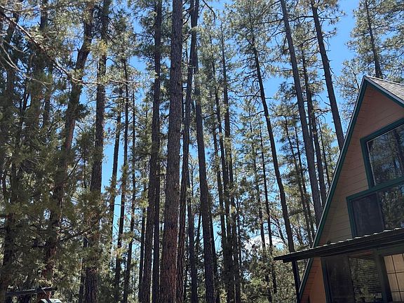 4th image of 257 E Tall Trees Ave