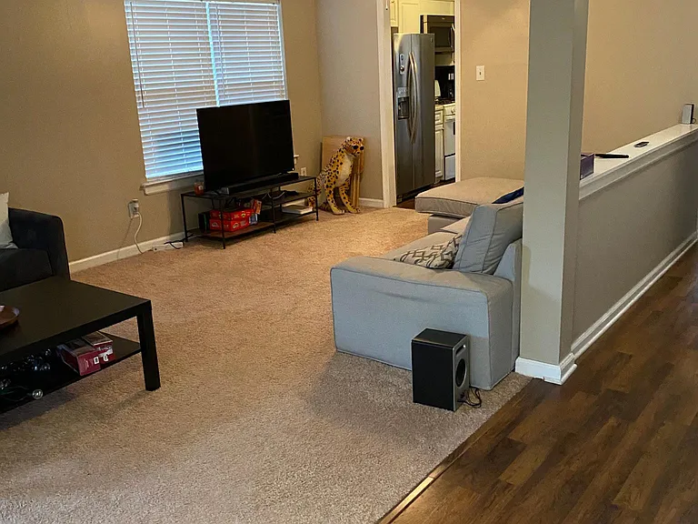 1307 Dance St — Photo 12