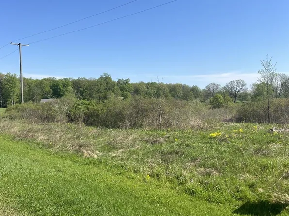 Turtle Lake Rd, North Branch, MI 48461