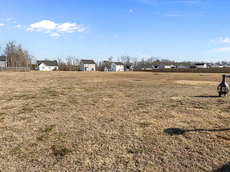295 Springtooth Dr — Photo 34