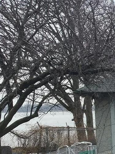 2nd image of 338 King Ave