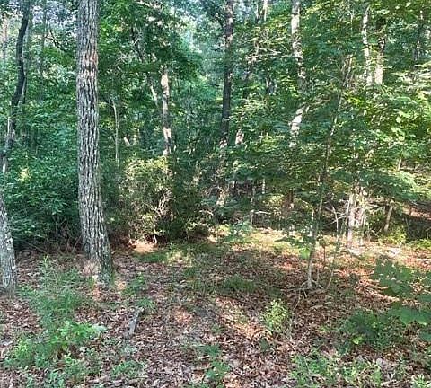 5th image of 0 Travelers Rest Ln
