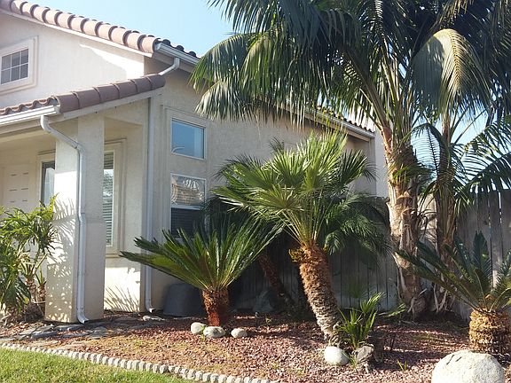 Exterior landscaping