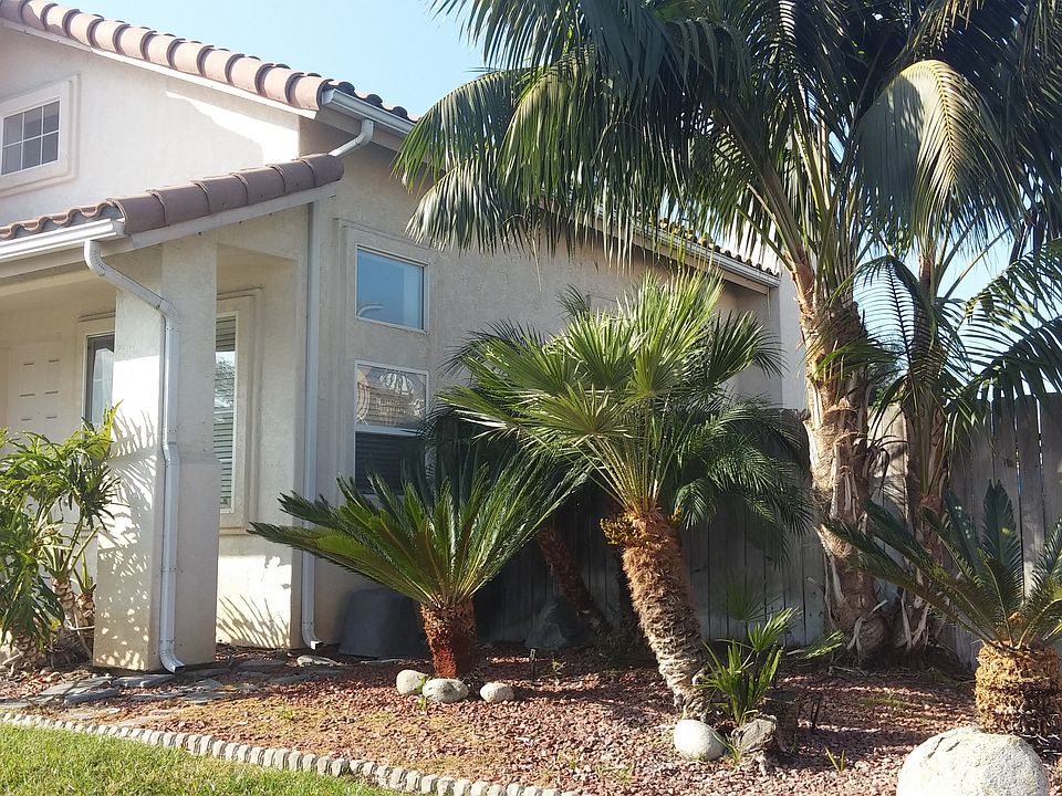 Exterior landscaping