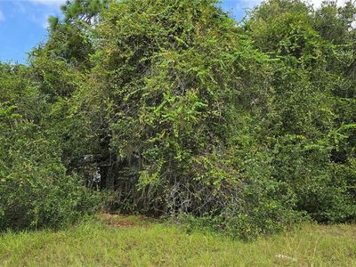 2323 S Hicks Grove Rd LOT 16, Inverness, FL, 34450