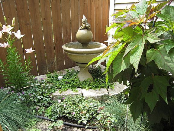 back garden/patio