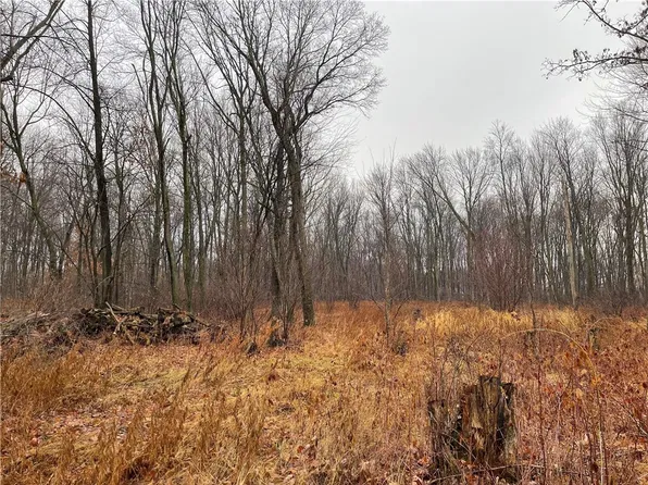 0 160th Avenue, Bloomer, WI 54724