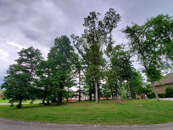 4th image of 804 Yosemite Dr