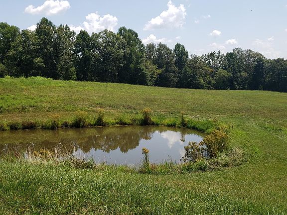 3rd image of 497 Hammonsville Schoolhouse Rd