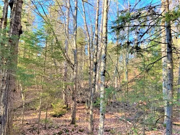 2 County Highway 119, Stratford, NY 13470