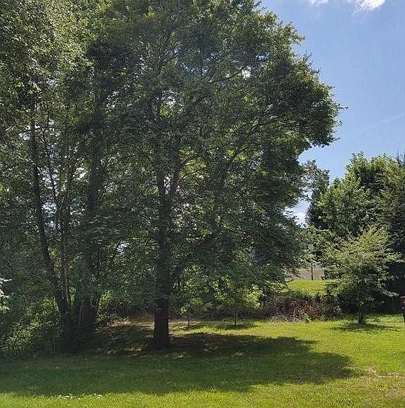 615 Tidwell Rd — Photo 4