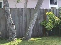 1st image of 1119 49th St N