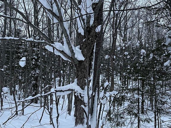 2nd image of 3-10 Firesteel Rd