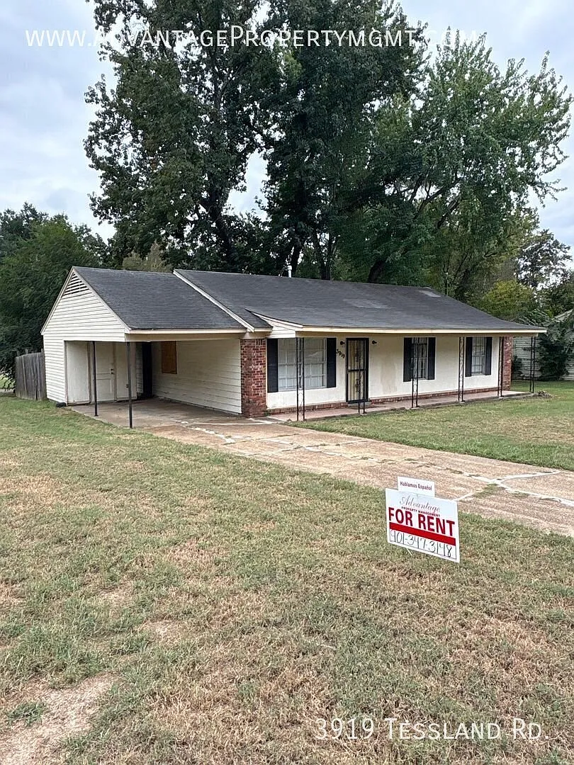 3919 Tessland Rd. Memphis, TN 38128 — Photo 4