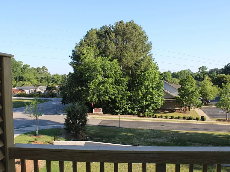 3601 Elm Grove Ln — Photo 48
