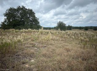 168 N Amber Meadows Ter, Inverness, FL 34453