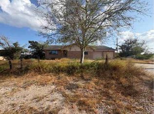 305 Parklane St, Freer, TX 78357