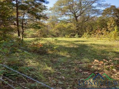 Tbd Boon Dock Rd, Avinger, TX, 75630