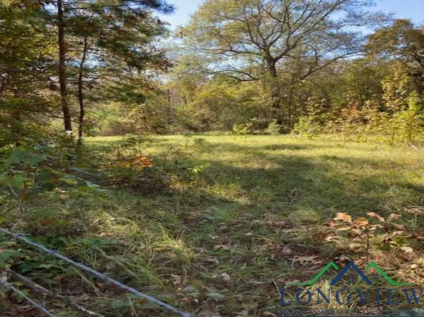 Tbd Boon Dock Rd, Avinger, TX 75630