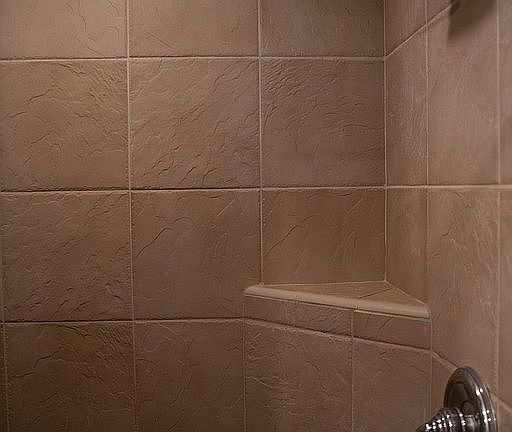 Master Bathroom Shower