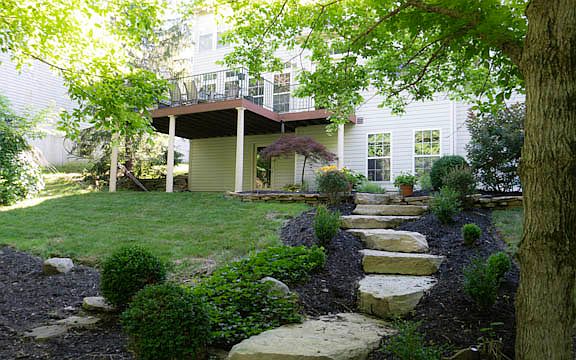 Back yard