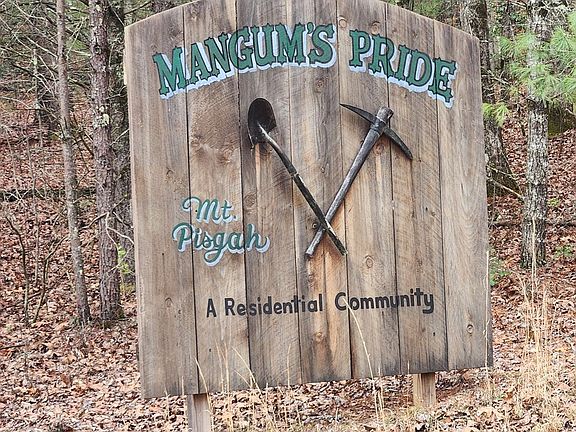 3rd image of 13 Mangums Trl