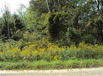 2nd image of 14405 Harris Rd