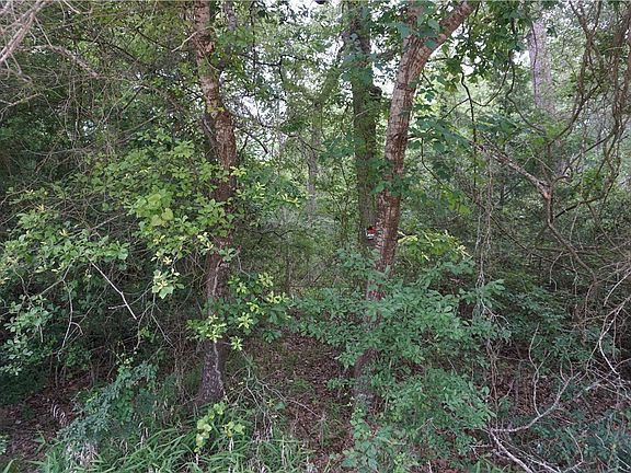 4th image of Tbd Berry Creek Dr