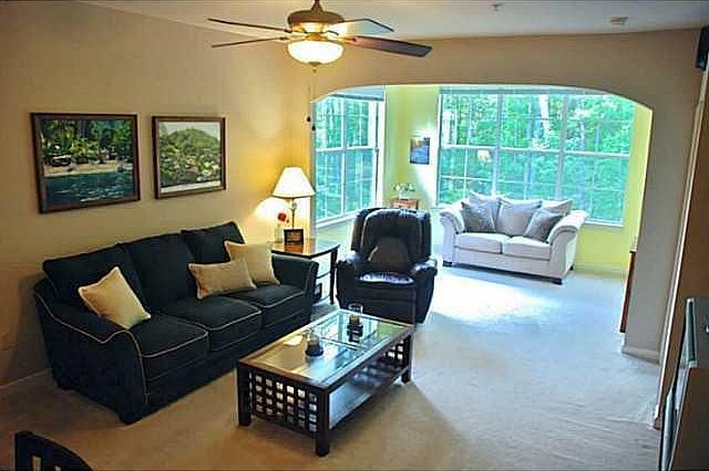looks to trees for privacy