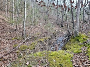 619 Dovel Hollow Rd, Stanley, VA 22851