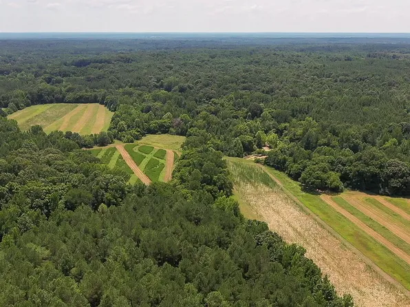 Scallions Rd, Cascilla, MS 38920