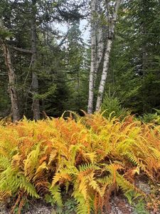 0 Perry's Corner, Vinalhaven, ME, 04863