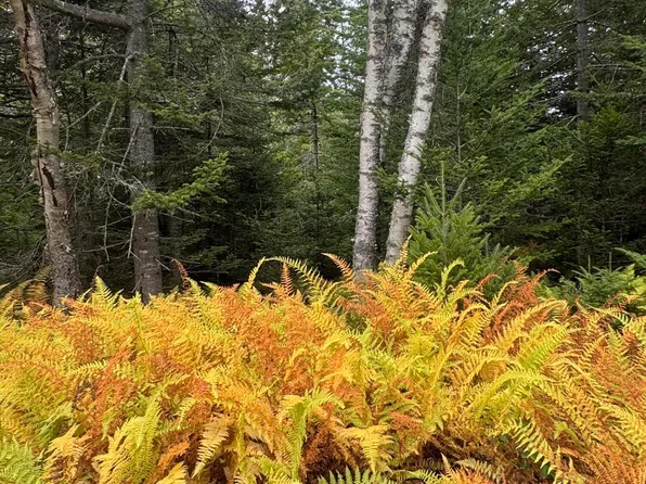 0 Perry's Corner, Vinalhaven, ME 04863