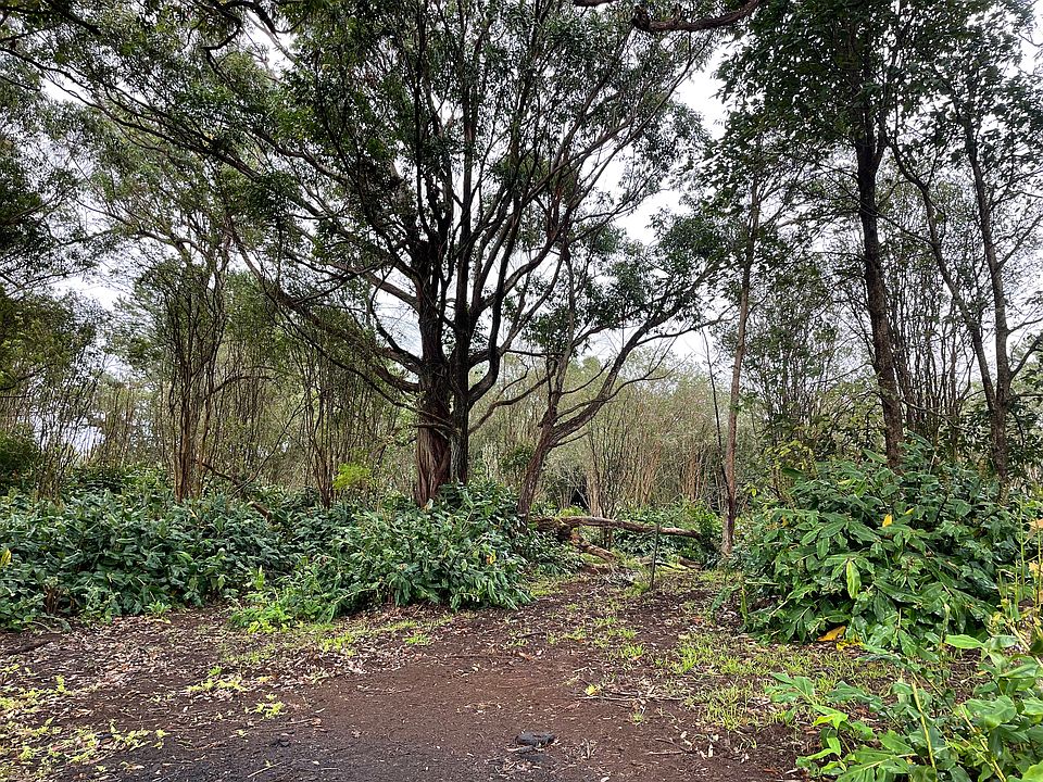 2nd image of 64-5275 Alanui Ohana Pl Lot G