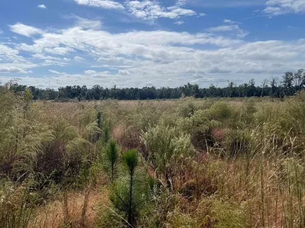 105th Rd, Mc Alpin, FL 32062